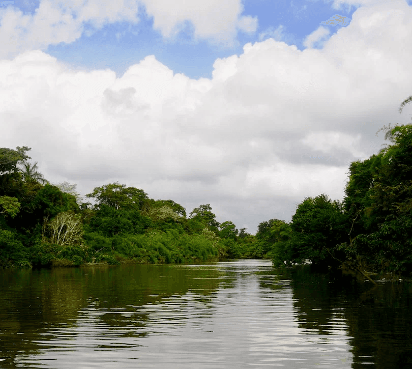 Monkey River Tour