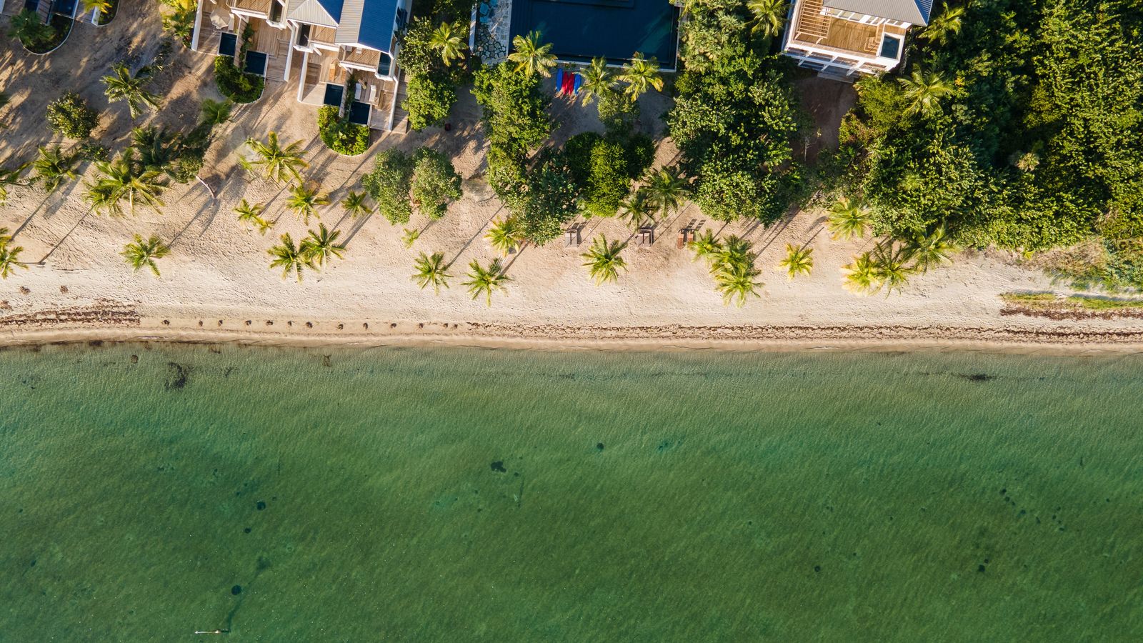 Aerial view of Belize's turquoise barrier reef meeting a palm-lined coastline along the Caribbean Sea